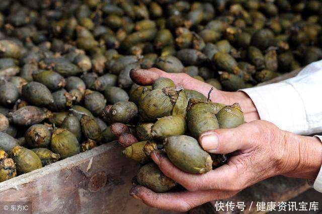 槟榔,一级致癌物!央视已经曝光了,很多人却拿它当零食吃
