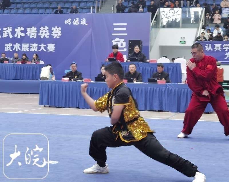 安徽第四届传统武术精英赛暨定远首届“戚继光杯”武术展演大赛圆满闭幕