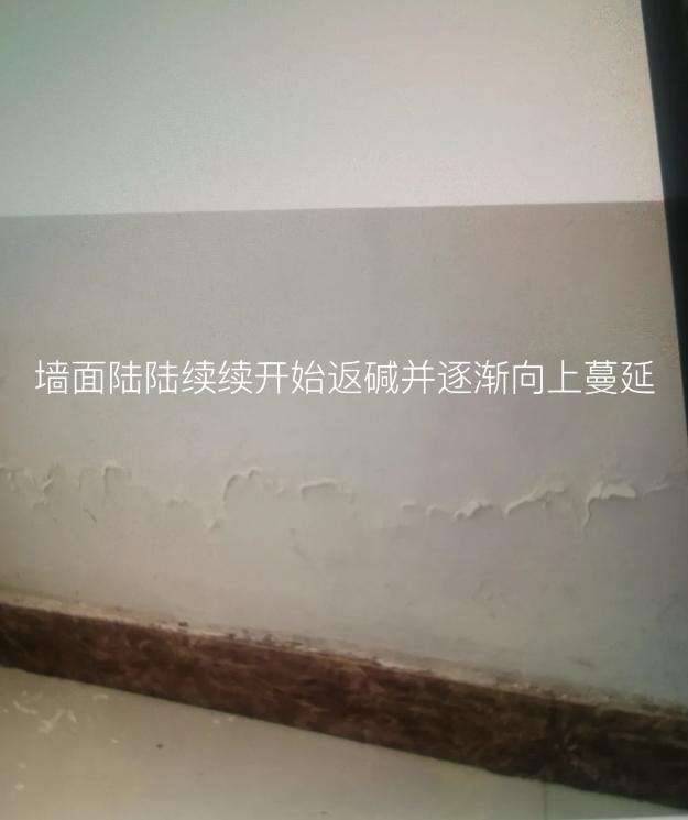 购房不听劝，买下带院子的一楼房子，一年后我却痛哭转手