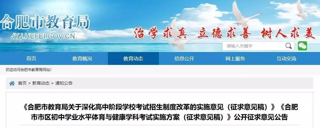 合肥市初中学业水平体育与健康学科考试实施方案_合肥市中考改革征求意见稿_2026安徽中考