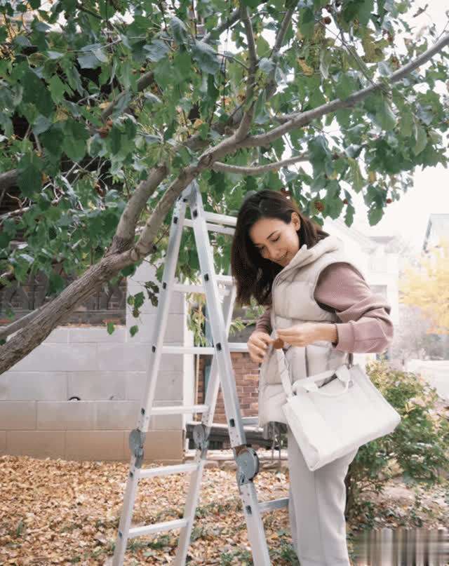 卢靖姗晒自家院子，爬梯子摘山楂，院子里全是落叶生活气息浓厚