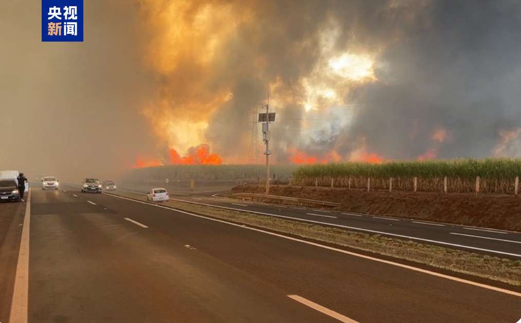 巴西圣保罗州多地发生火灾 已致2人死亡