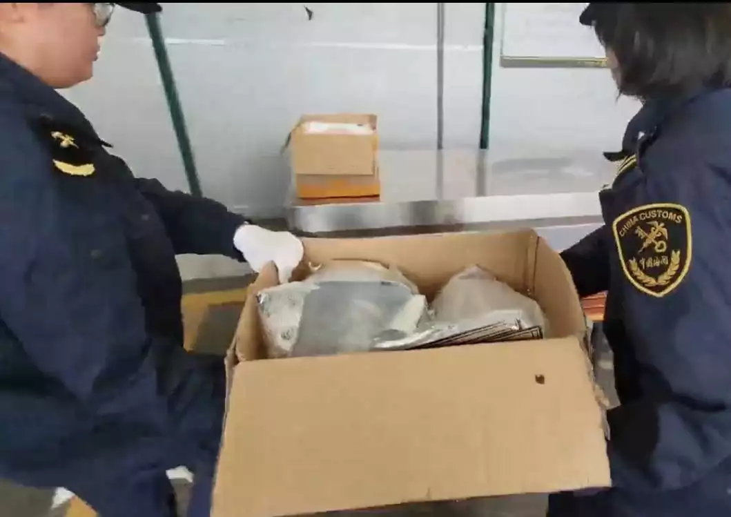 女子藏金龙鱼被海关查获