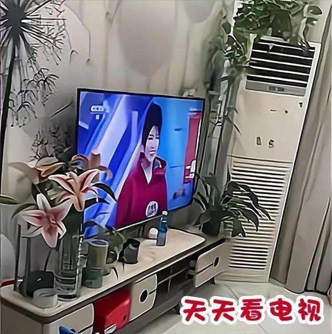 子女买房请父母住次卧，被批不孝？网友热议引争议