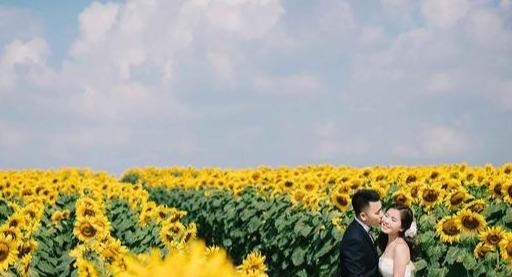 刘丹妮和王|“把彩礼还回来,否则我让我儿子和你离婚”婆婆威胁儿媳被打脸