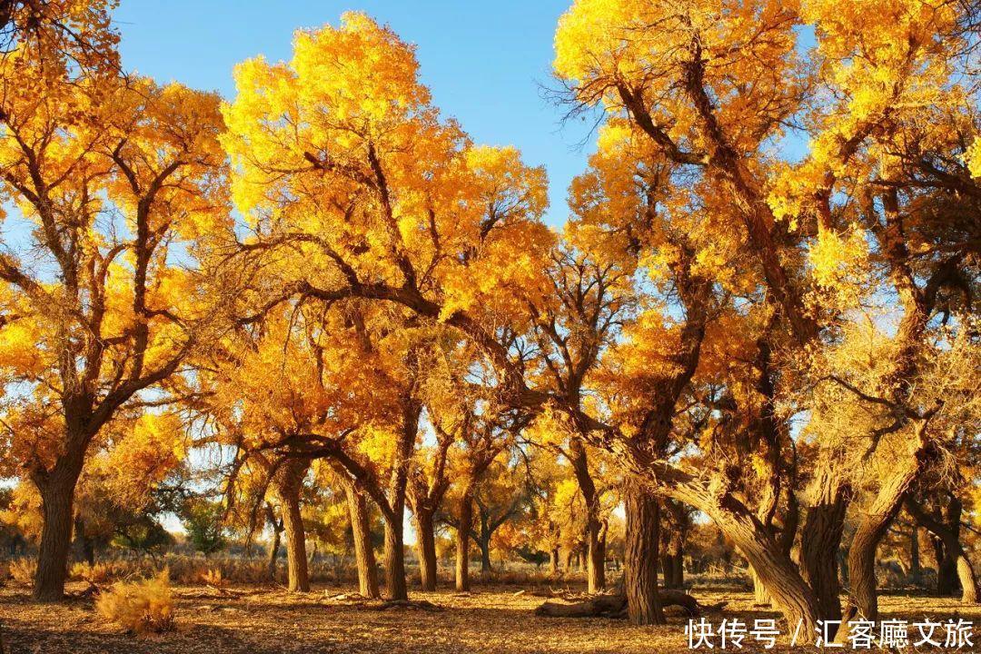  地方|10个适合秋天一个人旅行的地方