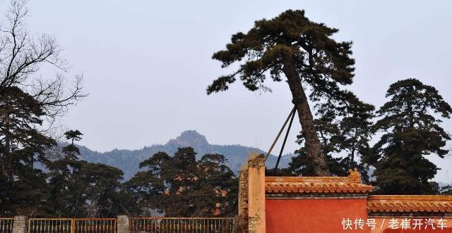 宫女|女子被俘到宫中做宫女，被皇帝宠幸后生下一子，儿子成一代明君！