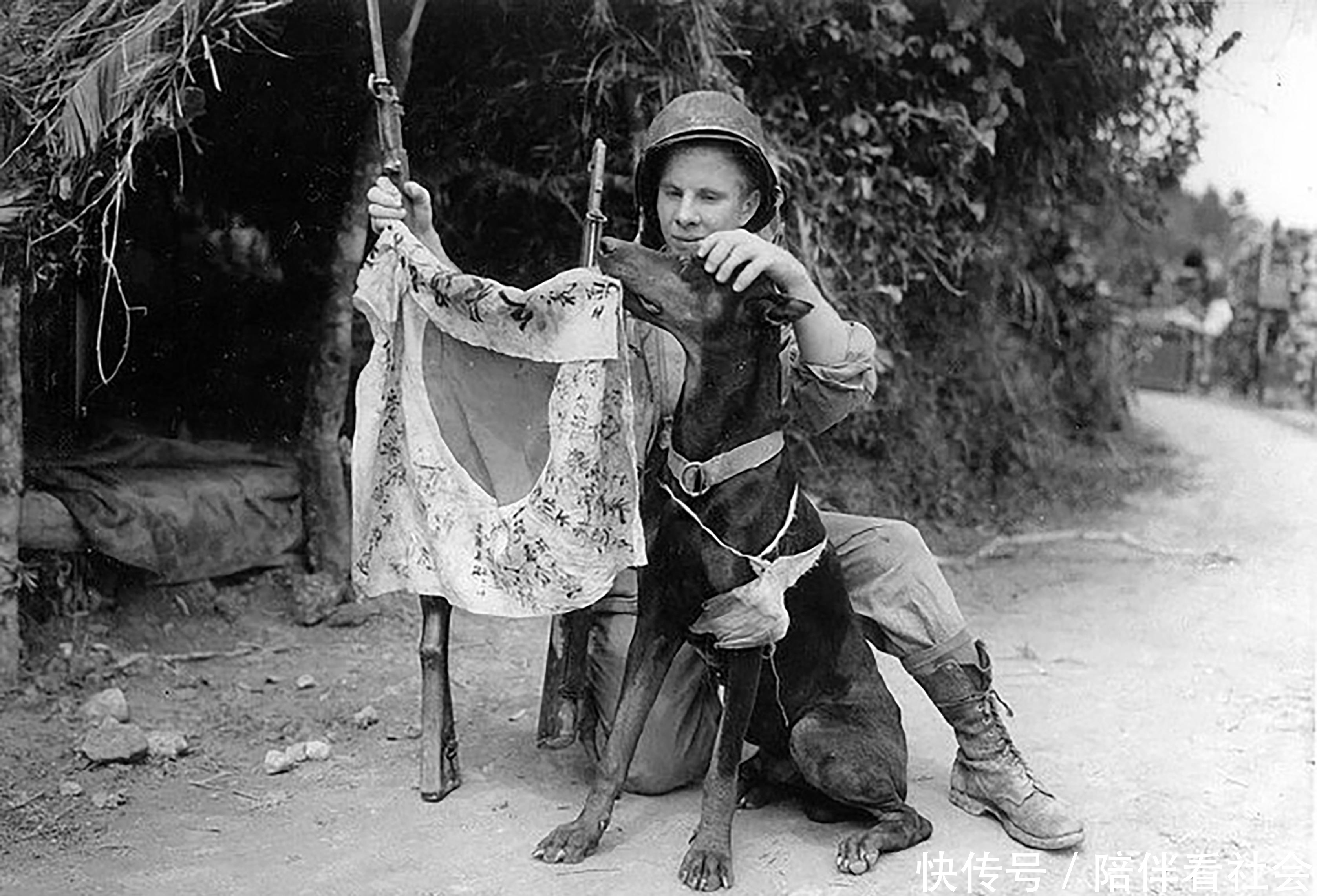 参观|历史罕见照:躺棺材中的墨索里尼,参观女子学院的希特勒,坦克上煎蛋的德军