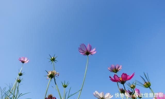 不靠|爱吹牛的人,一般都不靠谱