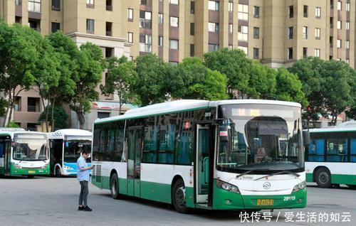 对半分|公交司机捡水杯时撞死路边行人！责任对半分合理吗？