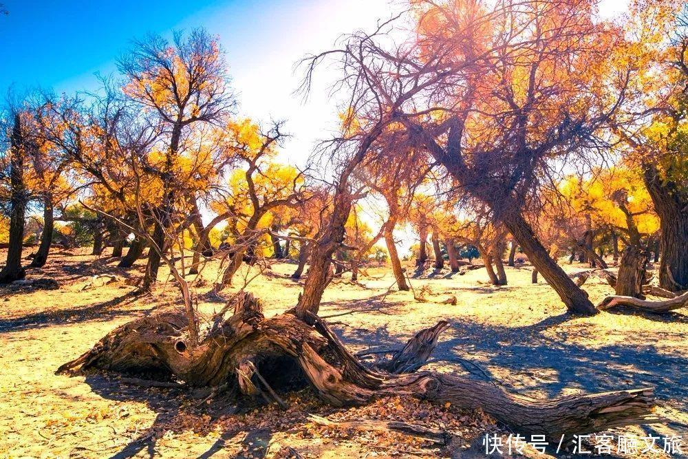  地方|10个适合秋天一个人旅行的地方