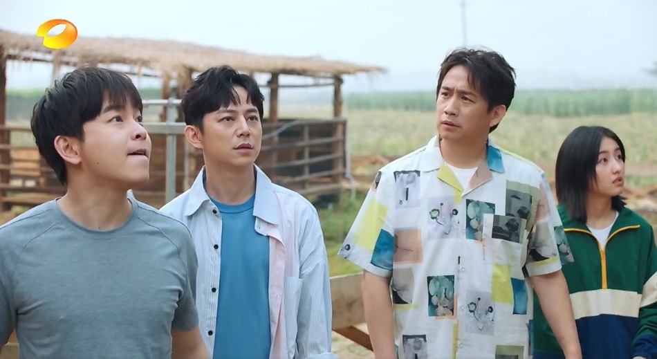 画风|《向往4》更新宣传片,张子枫扛梯子飞奔,蘑菇屋画风跑偏太沙雕