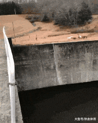 大妈|搞笑GIF:这打卡机太心机了!美女秒过,大妈打几百次却失败了