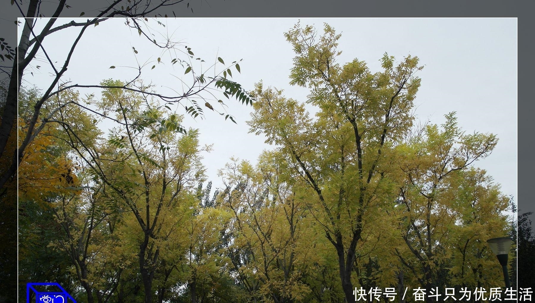 成大器|成年人有这四种行事方式,注定难成大器,现在改正还来得及