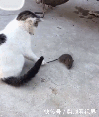 妹子|妹子，你可真有一套啊，用这方式喂宝宝真是太省力了