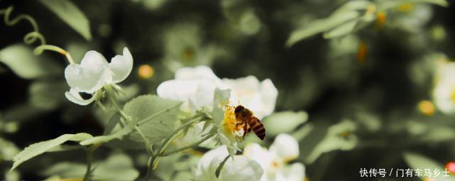 这件|这件事大包大揽,就是没原则,没底线,伤害的是自己