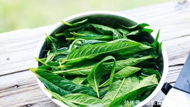 供不应求|大家都只吃种子,其实叶子才是“宝贝”,如今20一斤都供不应求!