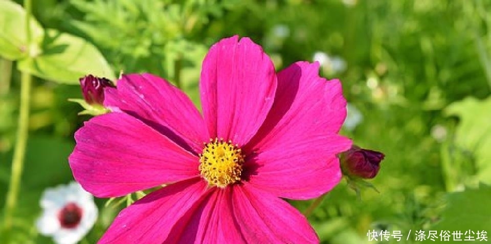 些事情|说到心坎上的人生句子,感悟人生百味,道尽人间甘苦