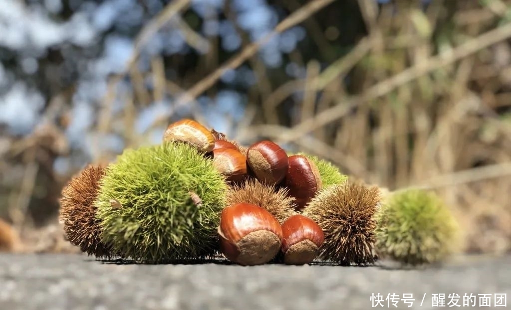 好吃|日本人的秋天限定美食，怎样最好吃？