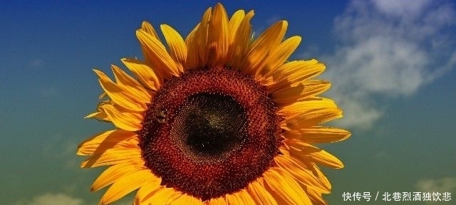 喜欢你|最优雅的人生哲理句子,短促而深情,不禁红眼