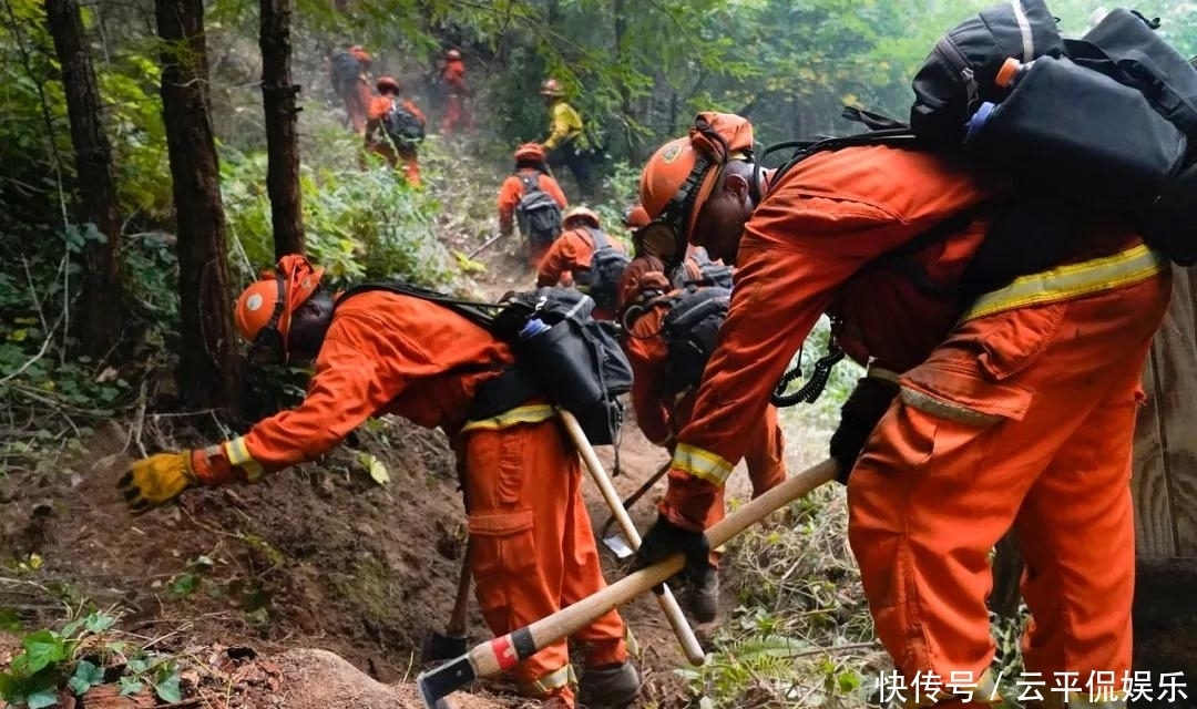 流离失所|加州大火让几万人流离失所,乘火打劫的人却连消防员都不放过