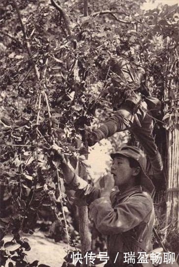 无人性|侵华战争中的日军为何特别凶残无人性？冈村宁次告诉你