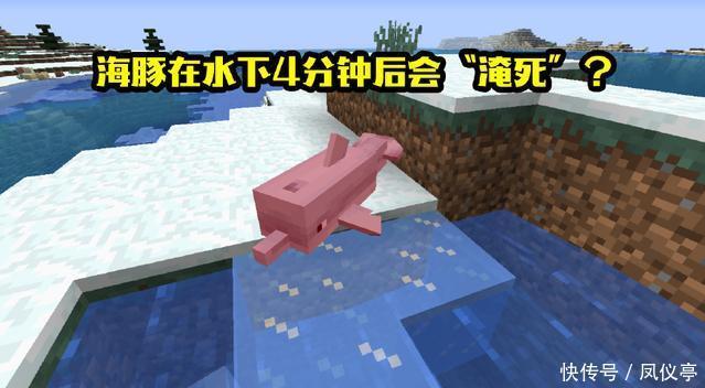 游戏中|《我的世界》“海豚”的九个趣味知识，海豚在水里居然也会淹死？