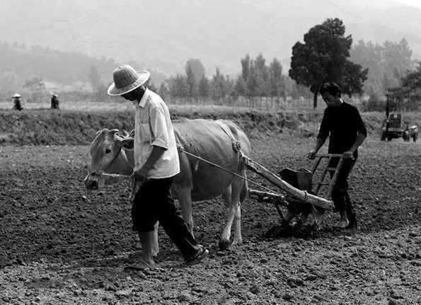  老照片|外国人拍摄的70年代中国老照片想不到70年代的人们是这样子