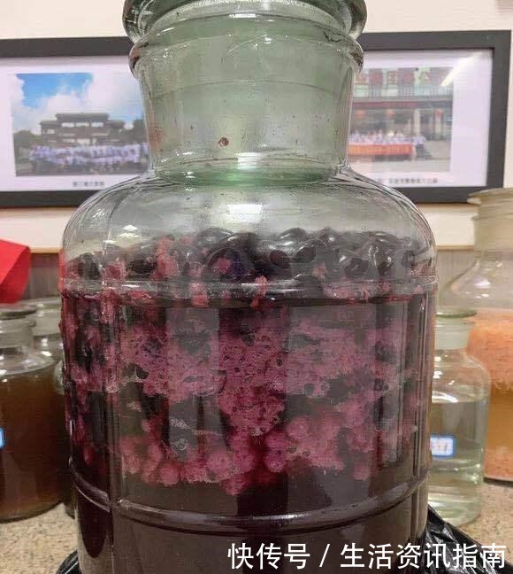 酿制|嘉宝果酒的酿制方法