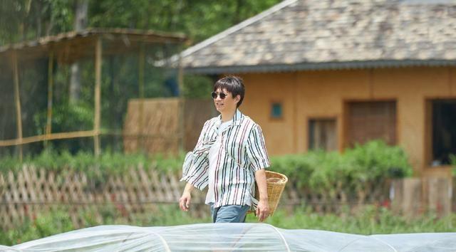 节目|为什么岳云鹏访问《向往》和休闲节目那么多