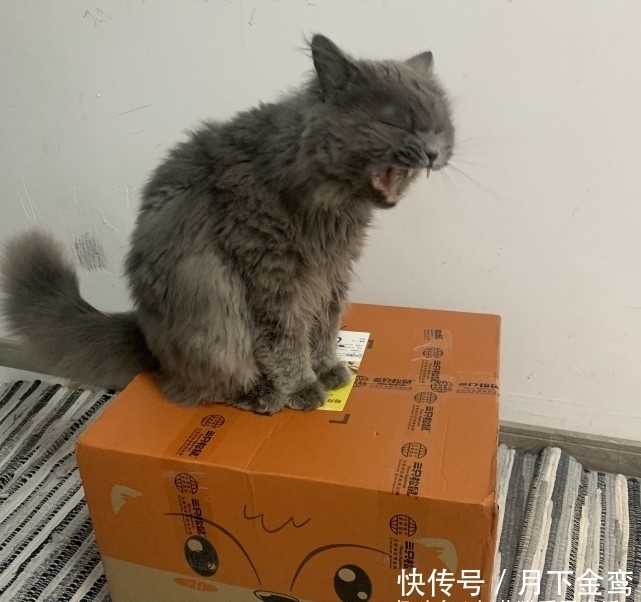 不快|好吃不胖的零食分享,第一个减肥必备,吃货们还不快冲!