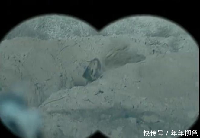 无解|亮剑: 3600颗手榴弹齐扔, 李云龙的土工作业真的无解吗