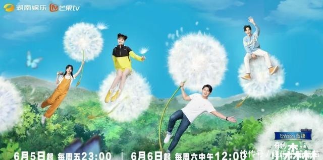 网站|芒果TV六档节目上新,综艺能顶起视频网站的半边天吗