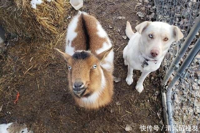 吉林科技富民奔小康