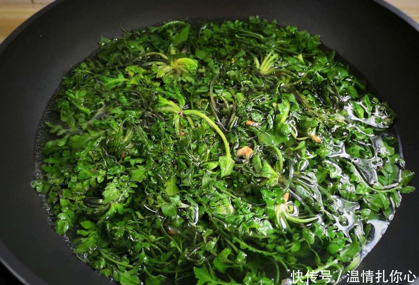 人来说|它是天然的“抗生素”,春天吃最好,清热明目,不懂吃可惜了!