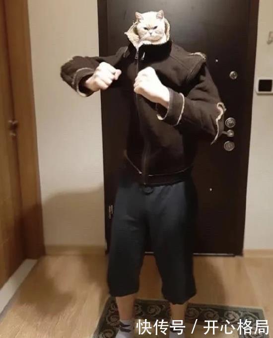  变异|“第一次在长白山遇见白狐，这代表什么？”哈哈哈不会是变异狗吧