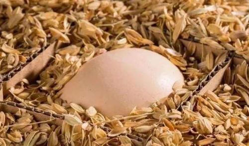 效果|鸡蛋别再放冰箱了,农村大妈教你一招,效果非常好,半年都不坏