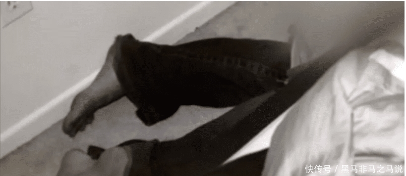 深夜|女性深夜在朋友家被枪杀，背后还有一起分尸案，凶手只为凑结婚钱