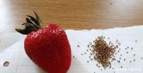 境界|强迫症吃东西时,奶茶喝出新境界,草莓得去籽吃,网友别吃了