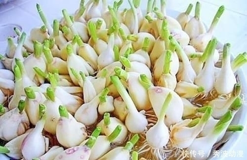 大蒜|大蒜保存原来这么简单,放1年不发芽不干瘪,再也不怕大蒜长芽了