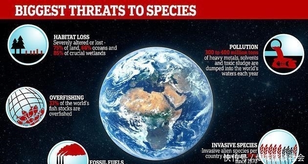 结局|全球唯一通过克隆实现复活的灭绝生物,最后结局怎么样了