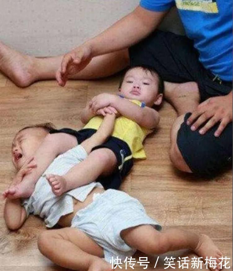  马蜂|“被这么大的马蜂蜇了，我还有机会吗？”哈哈哈找个阴凉地躺下吧