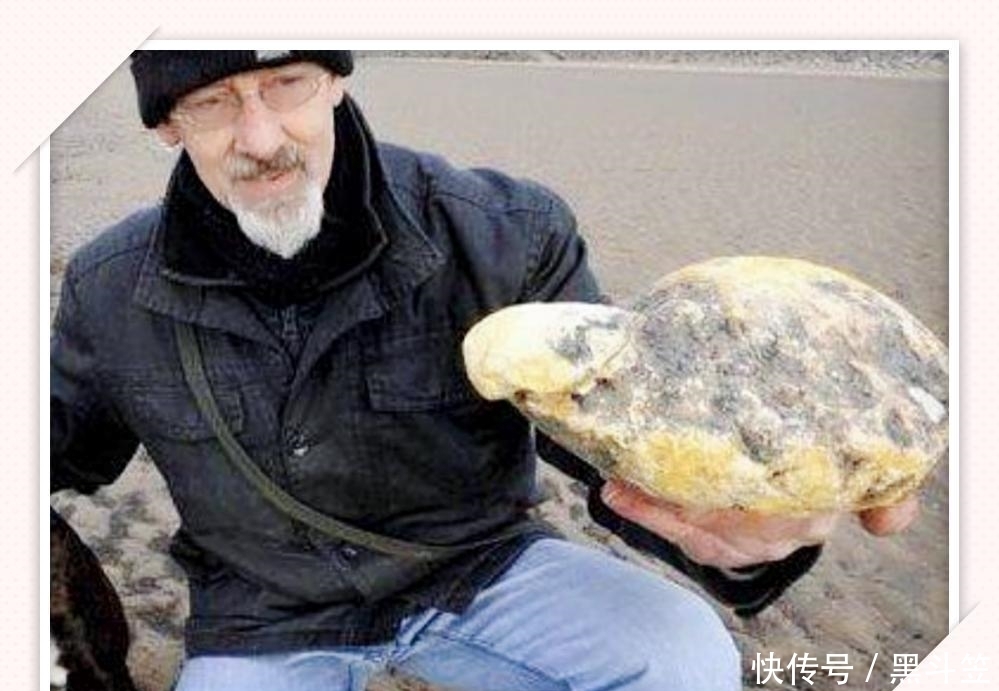 史密斯|80岁老人海边散步, 狗狗对着“石头”吼叫, 仔细一看乐开了花