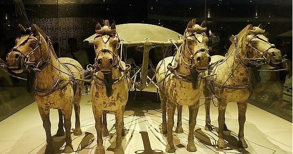  发现|陕西农民偷走3个秦始皇兵马俑头，转手卖5万，最后赔上自己脑袋