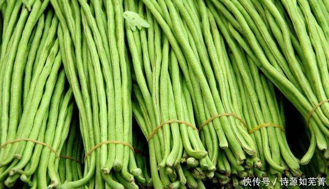  将豆角|吃不完的豆角，不要直接放冰箱，老菜农教您一招，放一年都不会坏