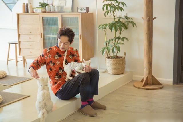 老师|高情商的代表何炅:一个“何老师”的称呼就是对他很好地证明