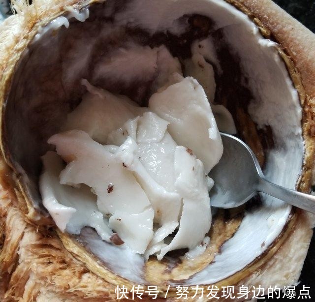 滋润|椰青猴头菇鸡汤,清甜滋润养胃