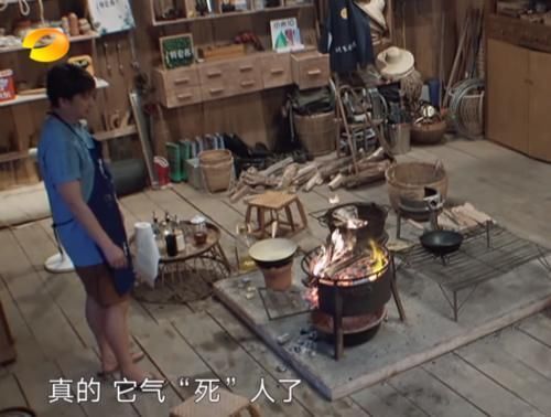 下午|《向往》烤一下午“叫花鸡”烧焦黄磊当场生气开骂,谁注意维嘉的表情