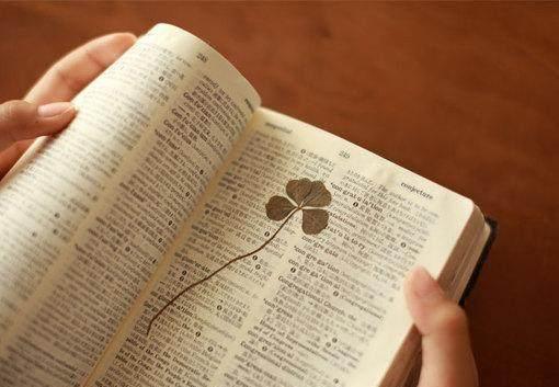  别人|别让自己活得比别人低几等