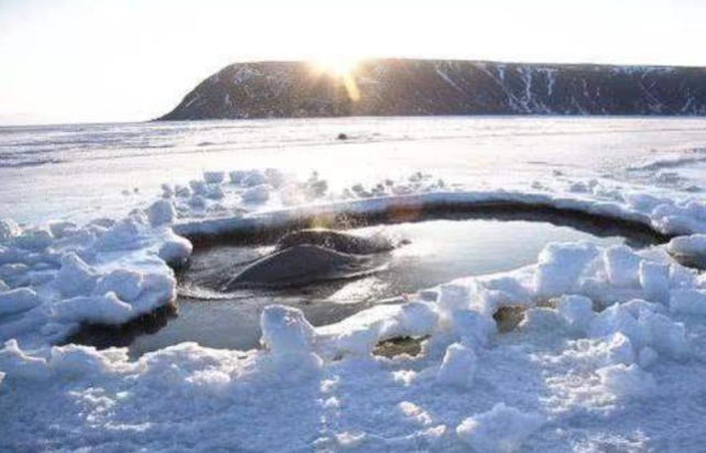  儿童|15岁中学生为救落水儿童牺牲，20多年后，被救者却被判处死刑